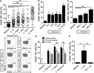 Monocyte-Derived Signals Activate Human Natural Killer Cells in Response to Leishmania Parasites